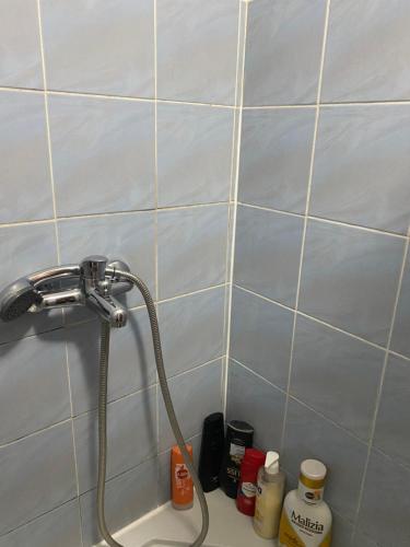 a shower with a hose in a bathroom at Stan blizu izlaza na autoput in Mali Mokri Lug