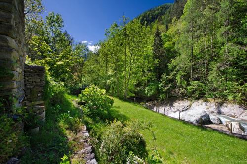 a grassy field next to a mountain with trees at Casa Savin in Pontboset