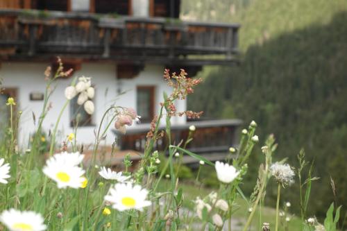 a field of flowers in front of a building at Rasterhof in Sillian
