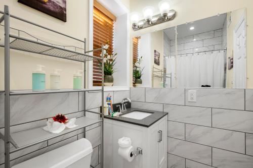 ein Badezimmer mit einem Waschbecken, einem WC und einem Spiegel in der Unterkunft Lovely Vacation Home In The Grays Ferry Area in Philadelphia