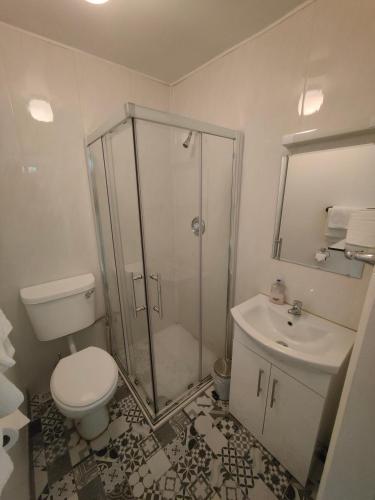 a bathroom with a shower and a toilet and a sink at Station View Tavern in Cork