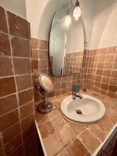 une salle de bain avec un lavabo et un miroir dans l'établissement Charmant F1 terrasse ombragée, au Cannet