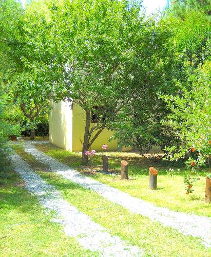 a dirt road with a tree in a field at Cabañas Ronca Hue in Tandil