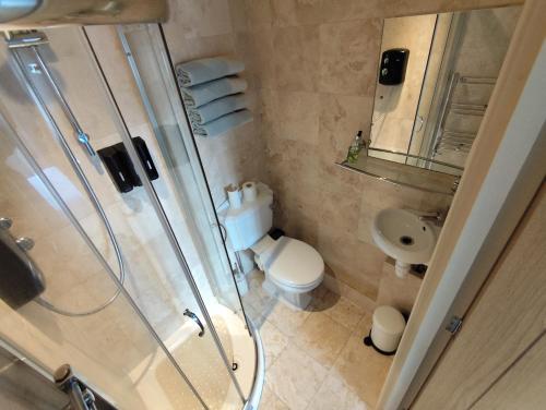 a bathroom with a shower and a toilet and a sink at Richmond Lane Guest House - AA Accredited in Romsey