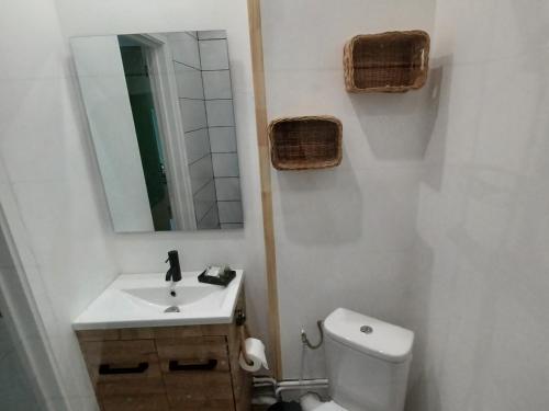 une salle de bain avec un lavabo, des toilettes et un miroir dans l'établissement Studio M proche des thermes de Royat Chamalières à pieds, à Chamalières