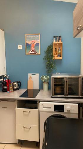 une cuisine avec un four micro-ondes et un mur bleu dans l'établissement COSY TRIPLEX PLEIN CENTRE maison de ville, à Boulogne-sur-Mer