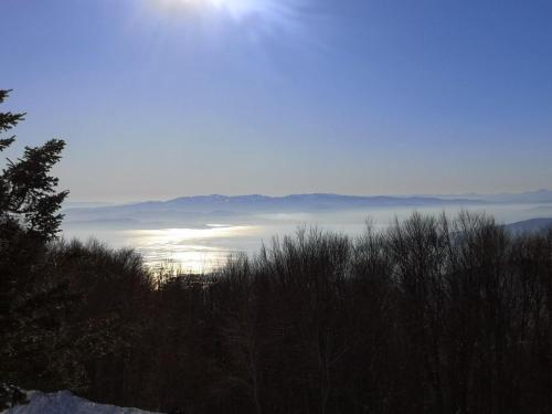 アパートメントの近くで見られる自然の景観