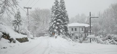 冬のGuesthouse To kaliviの様子