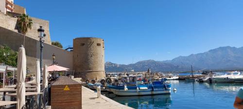 un groupe de bateaux amarrés dans un port avec une tour dans l'établissement Appartement Rivages 100m plage CALVI, à Calvi