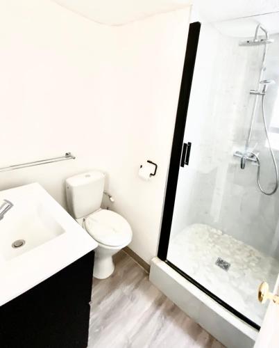 une salle de bain avec une douche, des toilettes et un lavabo dans l'établissement Appartement Cosy, au Cannet