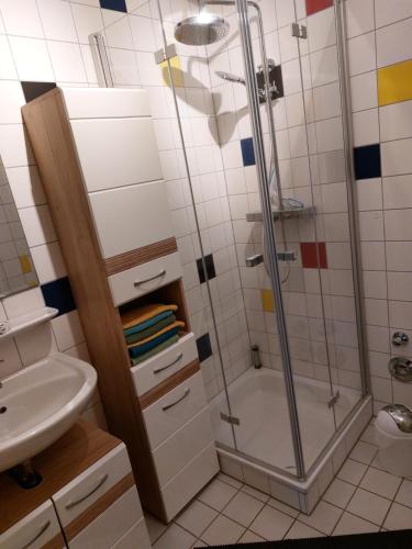a bathroom with a shower and a sink at Gelbes Haus Heldritt in Bad Rodach