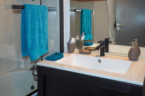 un bagno con un lavandino, uno specchio e una vasca di Appt lumineux, Thermes et Montagne a La Bourboule