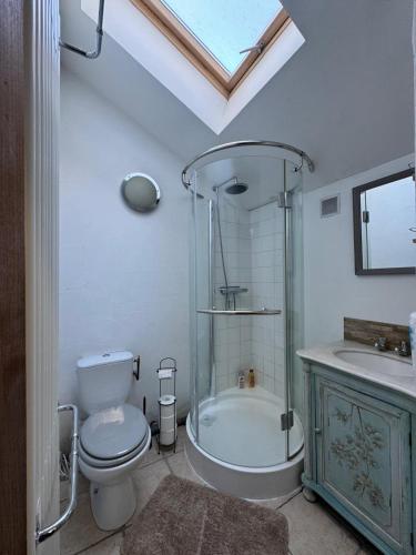 une salle de bain avec une douche, des toilettes et un lavabo dans l'établissement Cocorico, à Jumilhac-le-Grand