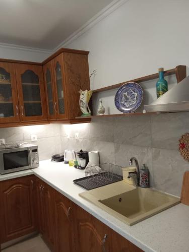 a kitchen counter with a sink and a microwave at Nostalgia Apartments B Plus in Sami 50 meters from the sea in Sami