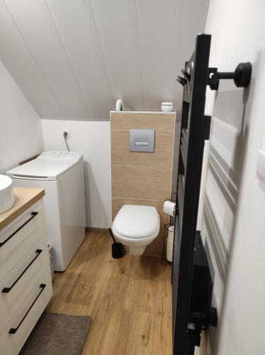 une petite salle de bain avec toilettes et lavabo dans l'établissement Studio cosy spacieux lumineux avec terrasse, à Vézelois