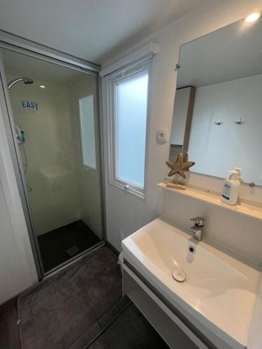 une salle de bain avec un lavabo, un miroir et une douche dans l'établissement Mobilhome dans camping siblu les Viviers, à Lège-Cap-Ferret