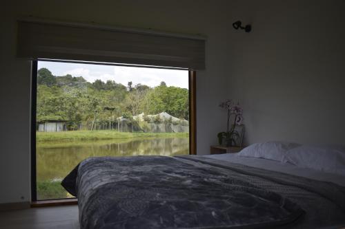 a bedroom with a large window looking out at a lake at El Manantial- Cabaña Alas de Cristal in Isnos