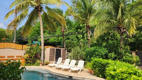 una piscina con tumbonas blancas y palmeras en Guest House en Playa Flamingo