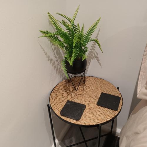 a table with a plant on it next to a wall at City Hideaway in Leeds in Leeds