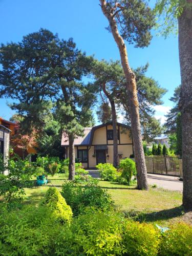 Zahrada ubytování Classic Apartment