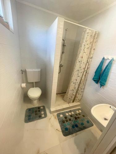 a bathroom with a toilet and a shower and a sink at Bronz apartman in Siófok