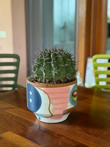 a potted plant sitting on top of a wooden table at Mi AN HOME in Paese