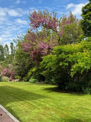 a yard with green grass and trees with purple flowers at Mi AN HOME in Paese