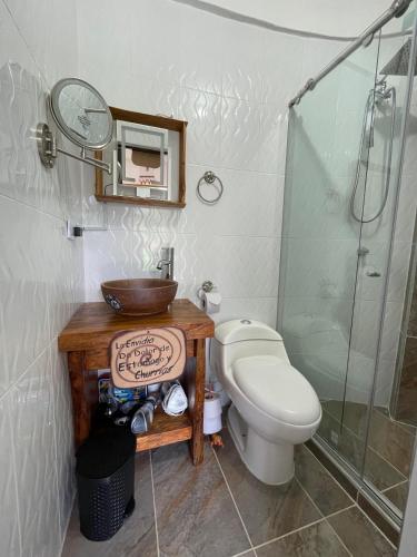 a bathroom with a toilet and a sink and a shower at La Bota del Gigante in Gigante