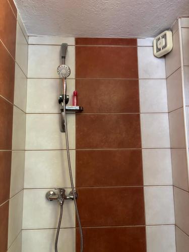 Gallery image of Villa Mia apartments in Sutomore