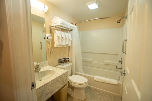een badkamer met een toilet, een bad en een wastafel bij Watkins Motel in Watkins Glen