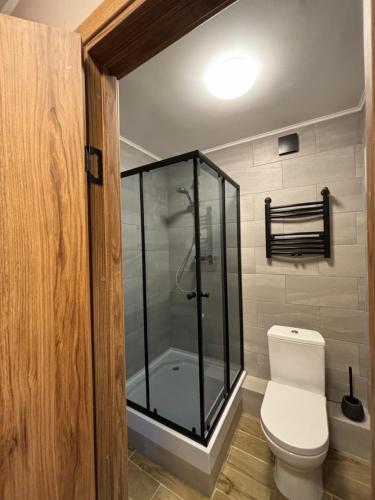 a bathroom with a toilet and a glass shower at Salaspils center apartment in Salaspils