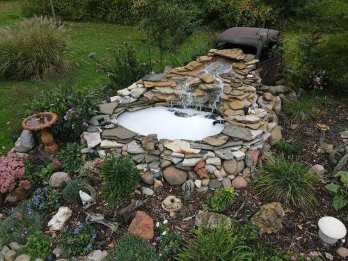 En have udenfor The Clear Lake Retreat