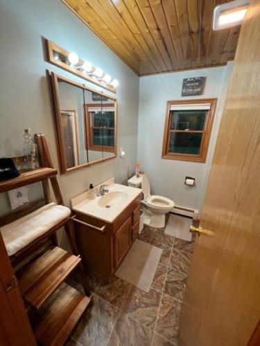 a bathroom with a sink and a toilet at The Clear Lake Retreat in Forest Lake