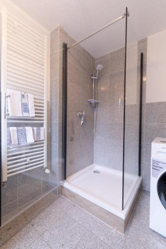 a shower with a glass enclosure in a bathroom at Ferienhaus Ostsee in Pruchten