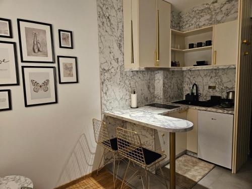 Kuchyň nebo kuchyňský kout v ubytování Studio apartman Gold