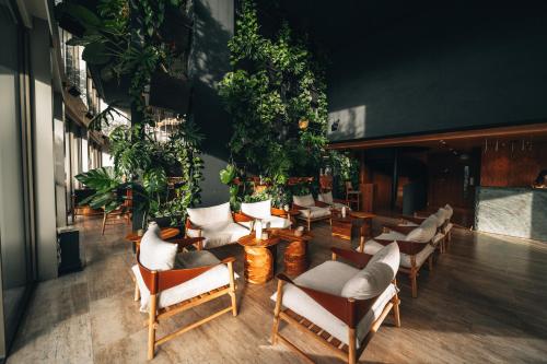 a room with a bunch of chairs and plants at M Boutique Hotel - Designed for Adults in Paphos City