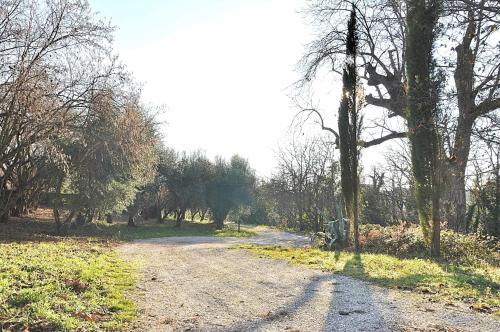 a dirt road with trees on the side of it at Montecasciano - Oleandro in Capranica