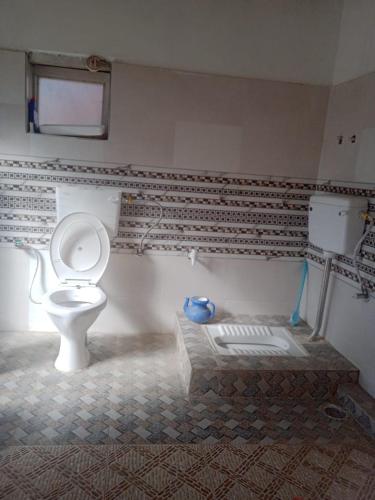 a bathroom with a toilet and a sink at Mud House Phyang leh ladakh in Pituk