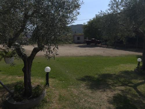 Gallery image of Studios ANNA in Toroni