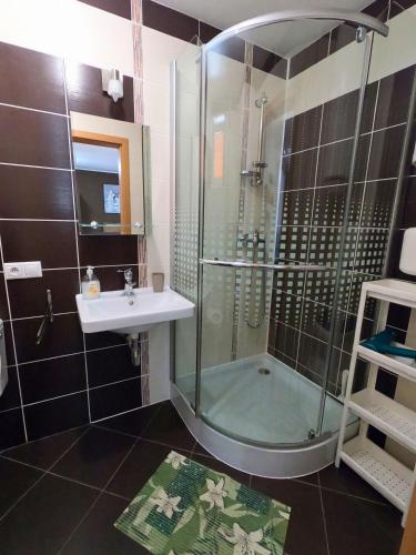 a bathroom with a shower and a sink at Zelený dom pri potoku in Sklené Teplice