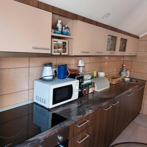 a kitchen with a microwave on a counter at Apartman Vukan in Bajina Bašta