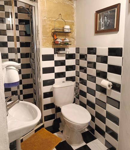 a bathroom with a toilet and a sink at Fusion Homestay Accommodation in Mosta