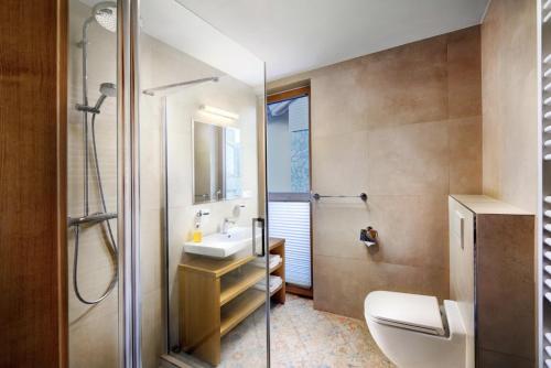 a bathroom with a sink and a toilet and a shower at CHALET MOUNTAIN in Demanovska Dolina