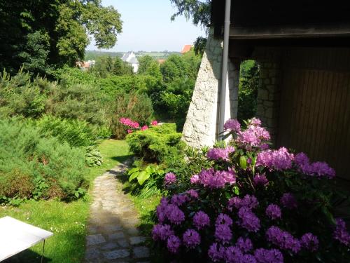 ogród z fioletowymi kwiatami obok budynku w obiekcie Noce i Dnie - apartamenty i pokoje w Kazimierzu Dolnym