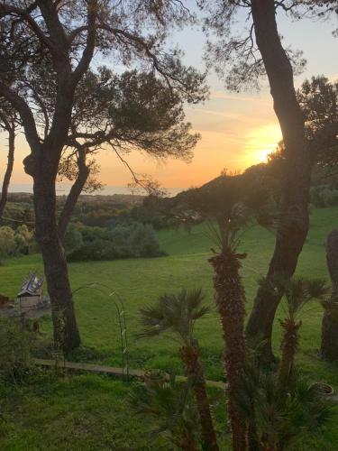 a field with trees and a sunset in the background at Allulivus in Montenero