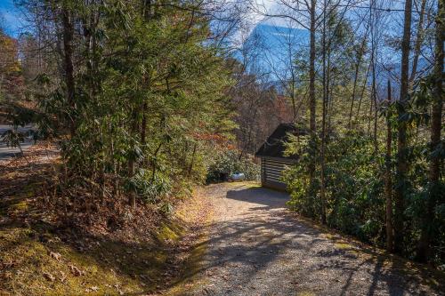 a small cabin in the middle of a forest at Bear Necessity by Stony Brook Cabins in Gatlinburg