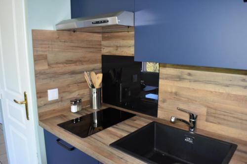 a kitchen with a sink and a counter top at L'Aquarelle - Appartement cosy, GroupamaStadium LDLC Arena in Meyzieu
