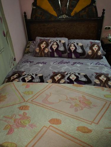 مدينة القصير