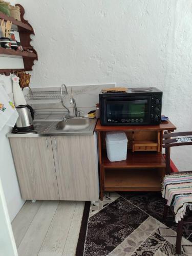 a kitchen with a sink and a microwave on a table at Seosko Domaćinstvo Jevtić in Ždraljica