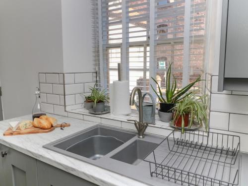 d'un évier avec des plantes en pot et d'une fenêtre. dans l'établissement The Old Factory House, à Berwick-upon-Tweed